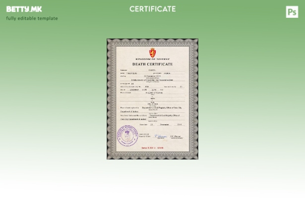 модерен стил Норвешка витална евиденција за смртен шаблон PSD шаблон